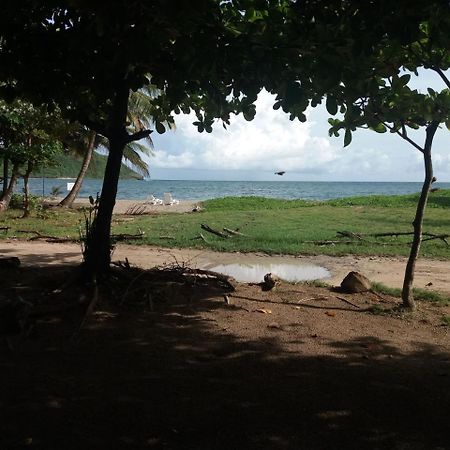 The Reef Beach Huts Hotel Vieux Fort Exterior foto
